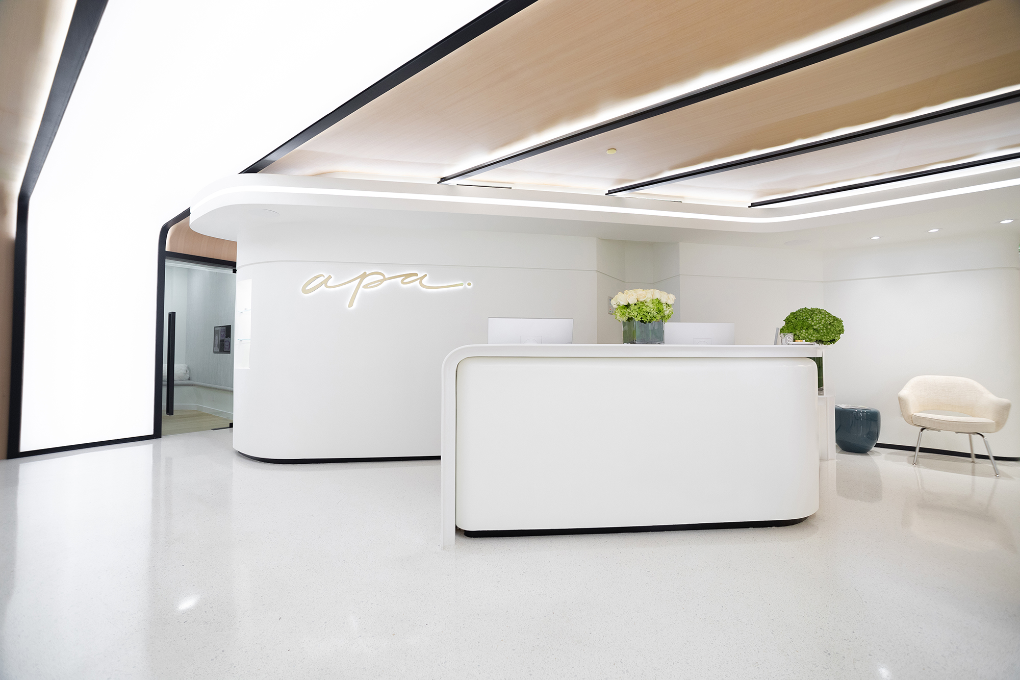 Apa Aesthetic clinic interior