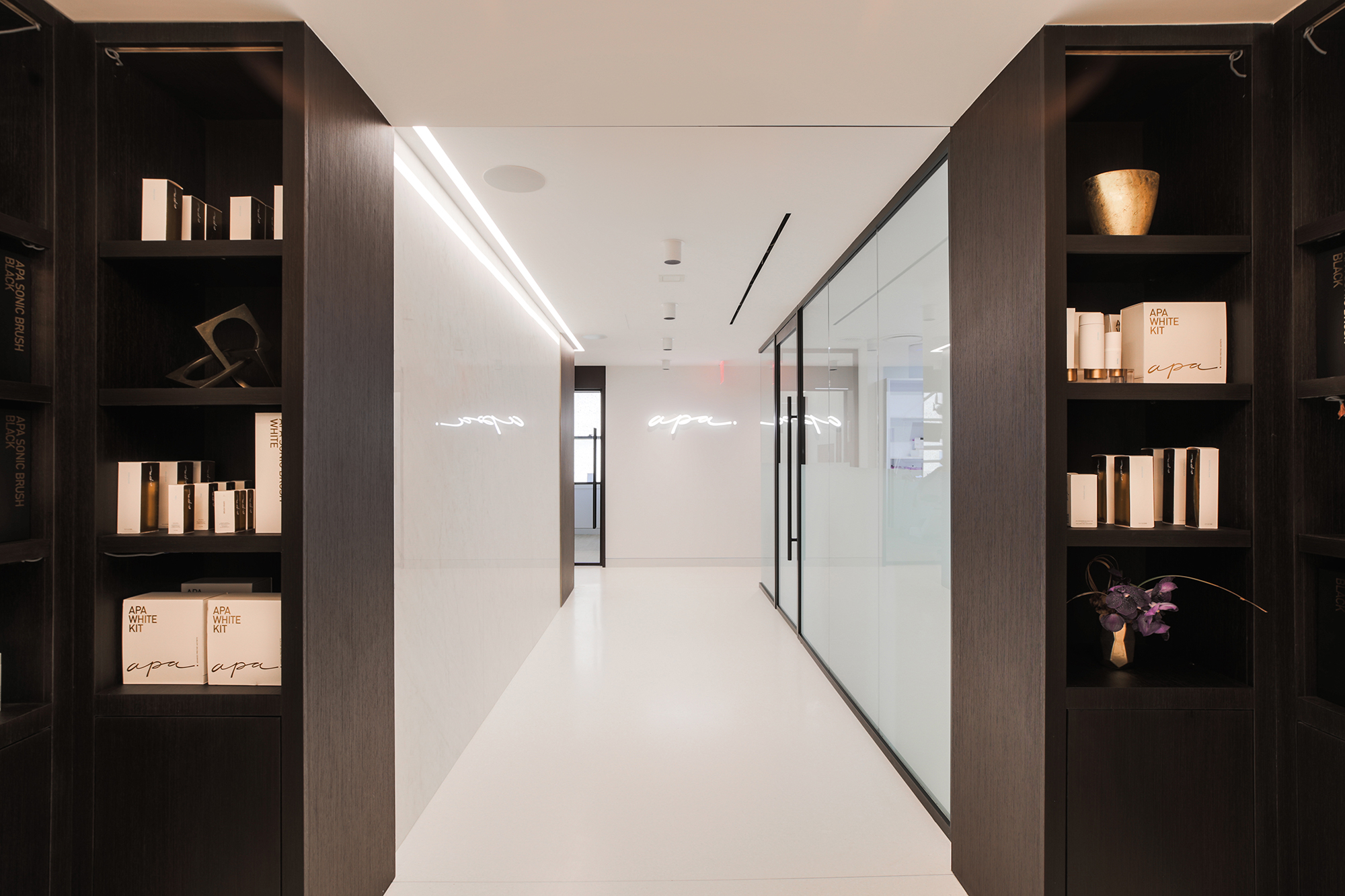 Apa Aesthetic clinical environment